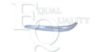 EQUAL QUALITY M0419 Trim/Protective Strip, bumper